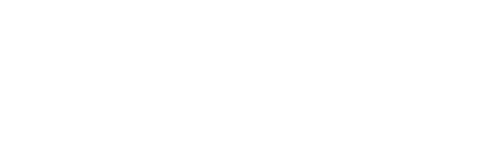 Standout Feature -NZIFF 2024
